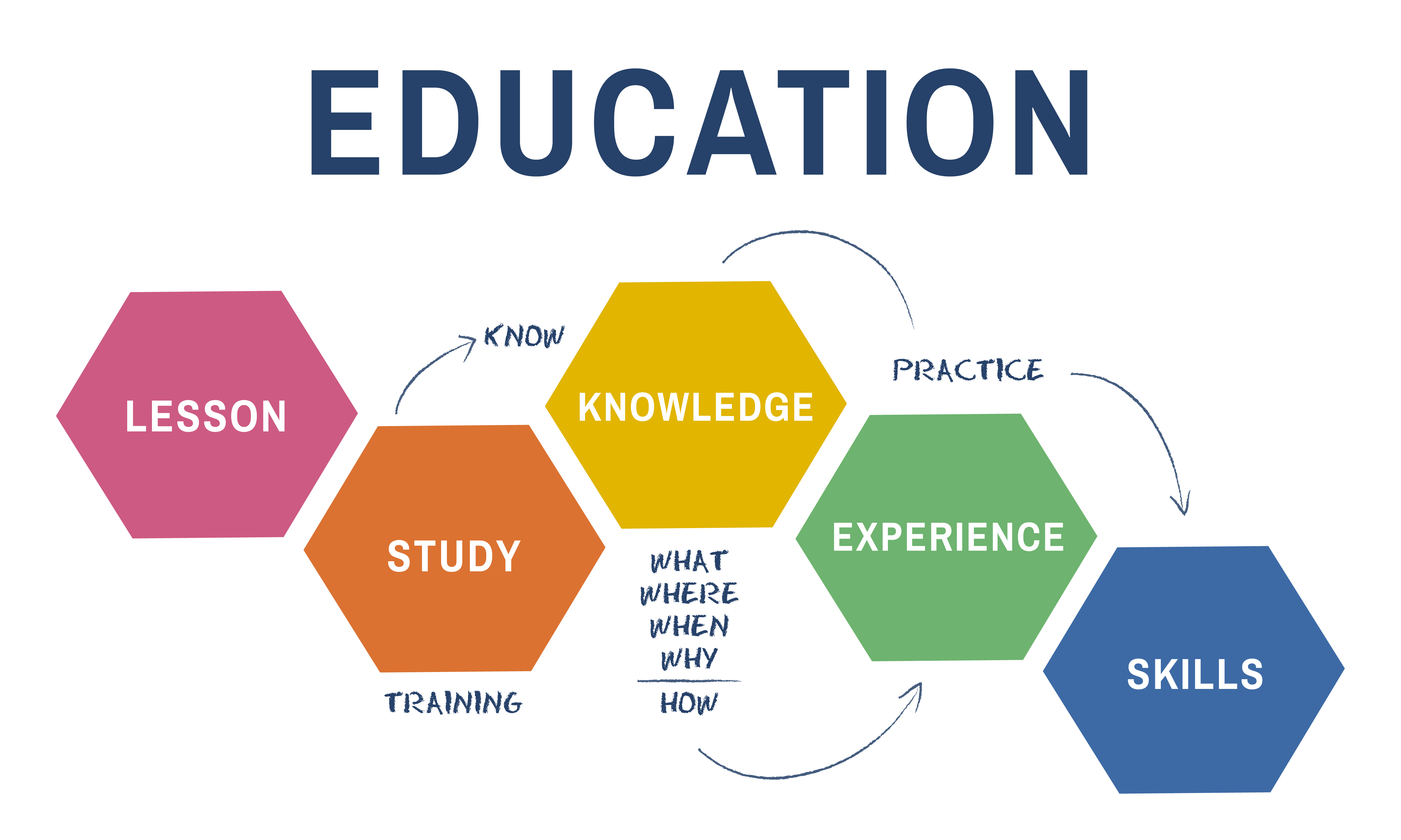 Students engaged in learning